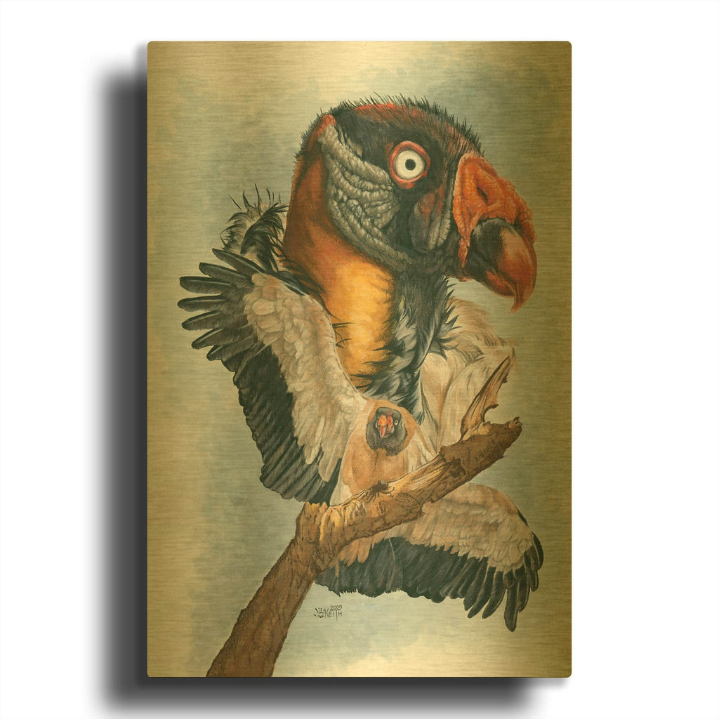 'Marauder' By Barbara Keith Gold Metal Wall Art