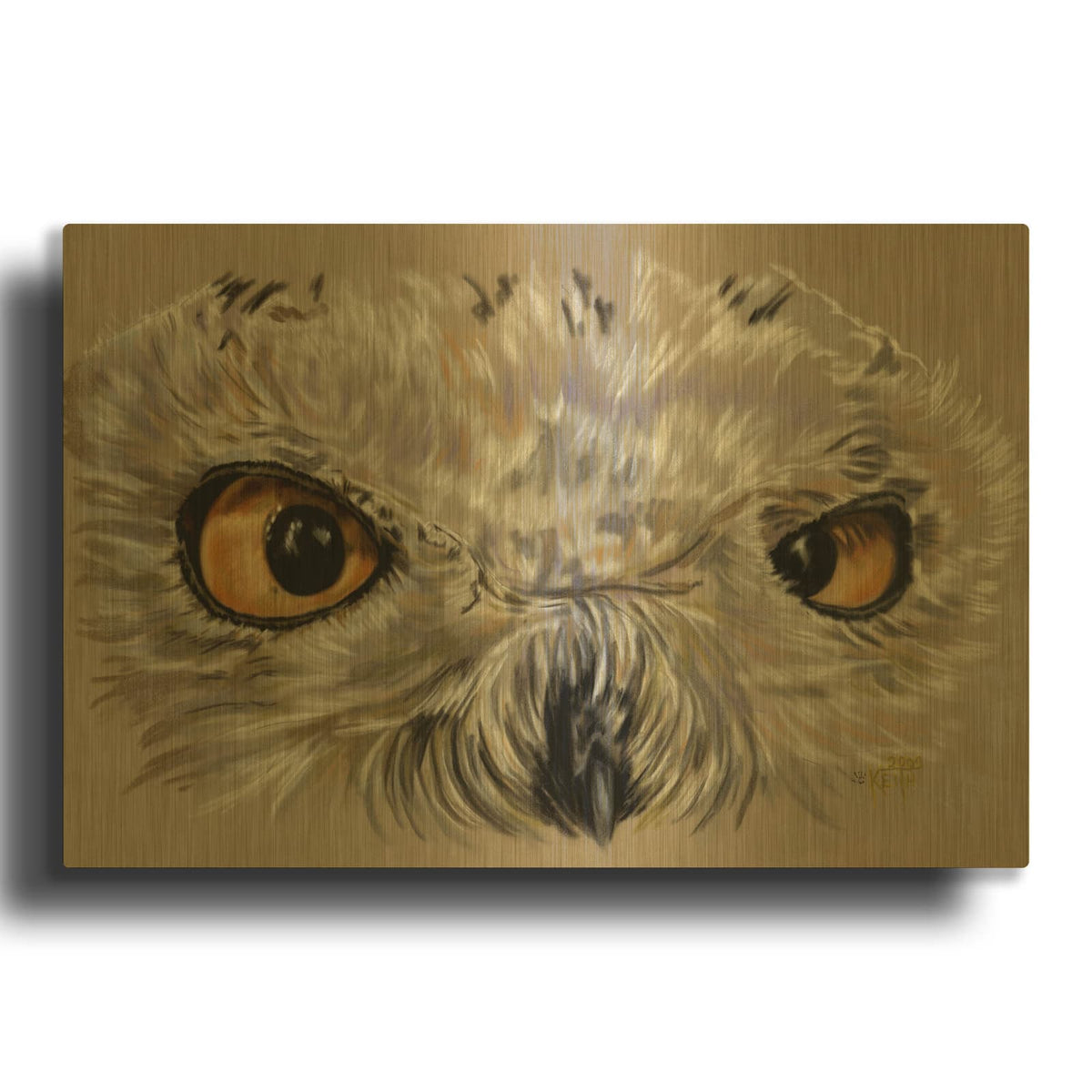 'Snowy Owl' By Barbara Keith Gold Metal Wall Art