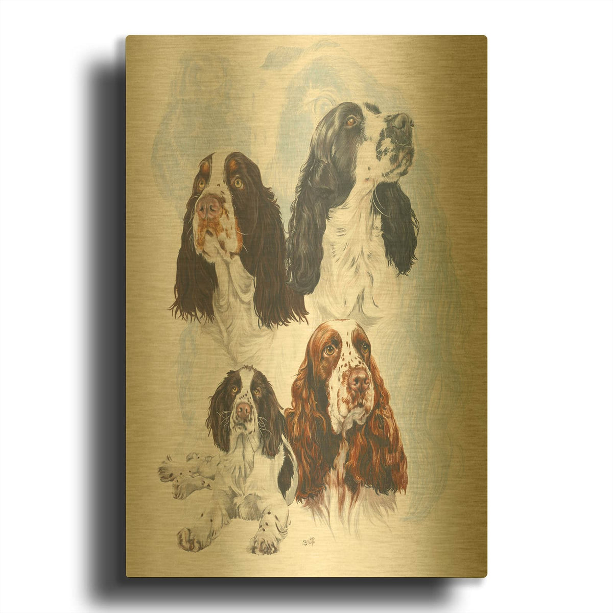 'Springer Spaniel' By Barbara Keith Gold Metal Wall Art