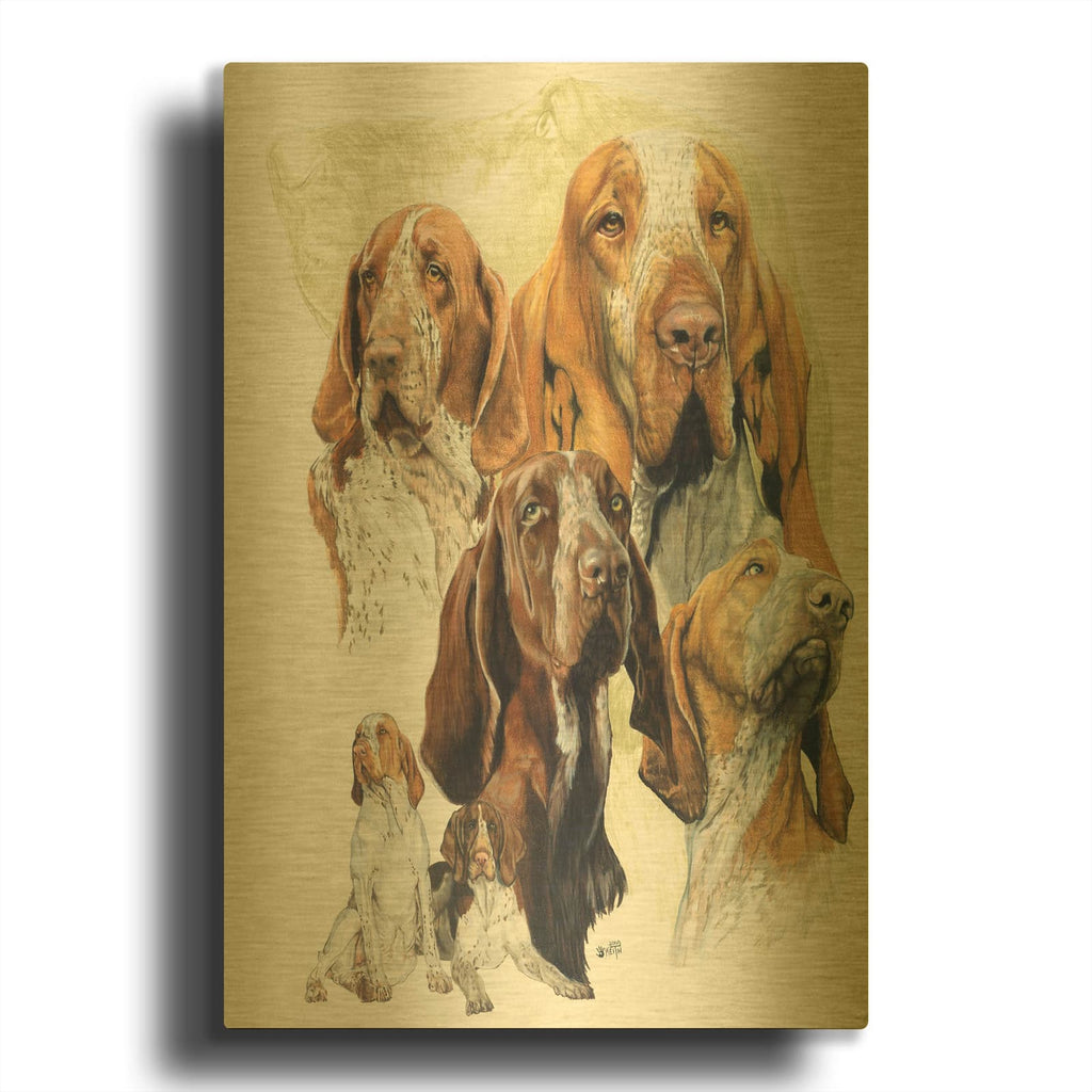 'Bracco Italiano Hound' By Barbara Keith Gold Metal Wall Art