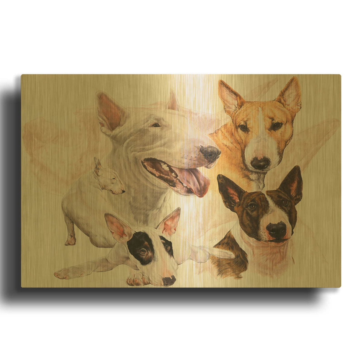 'Bull Terrier with Ghost Image' By Barbara Keith Gold Metal Wall Art