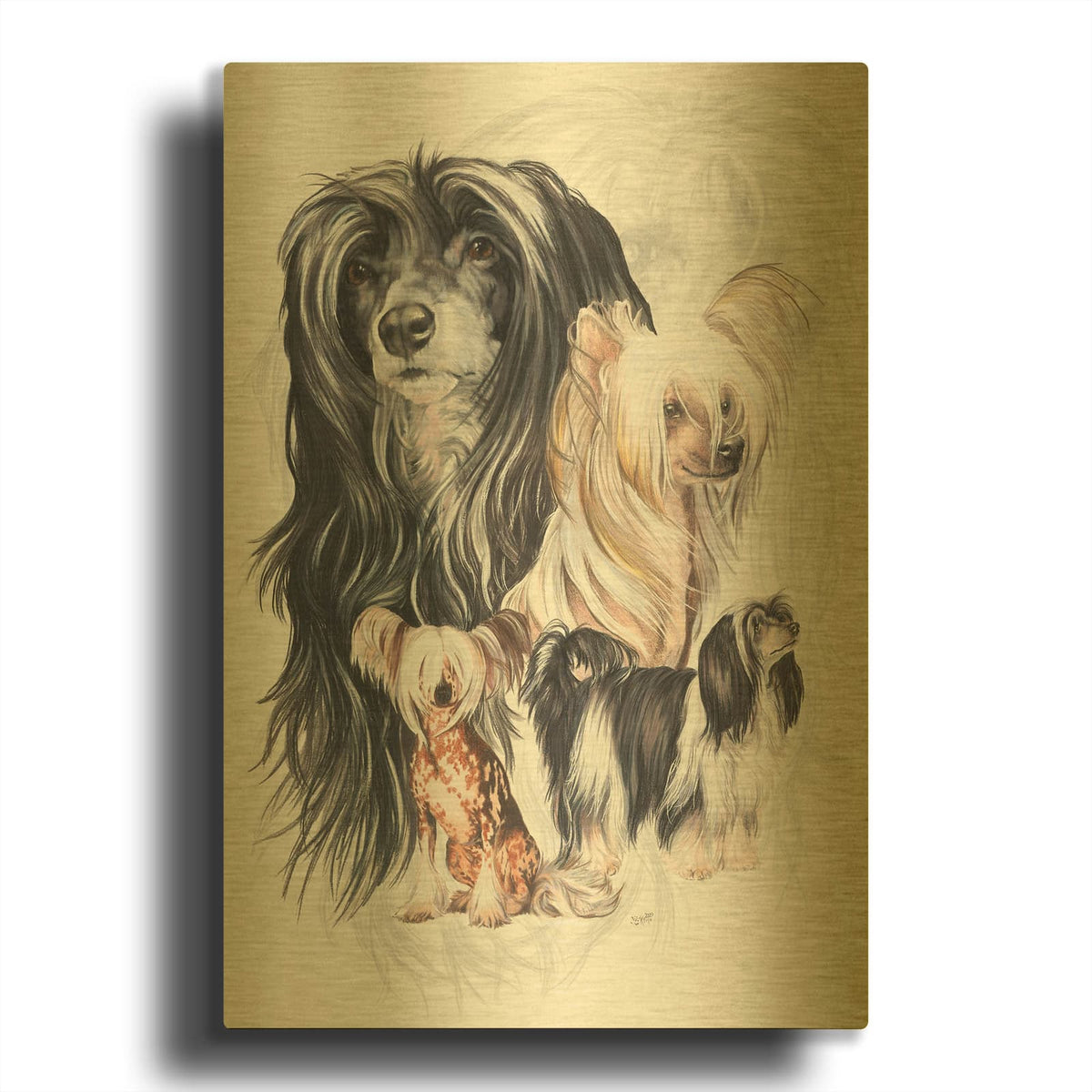 'Chinese Crested 2' By Barbara Keith Gold Metal Wall Art