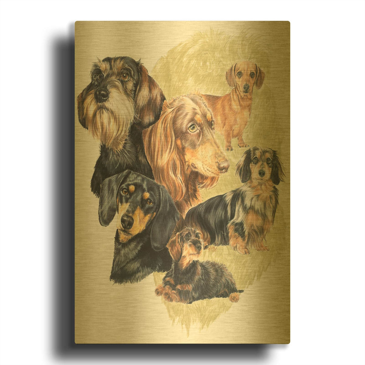 'Dachshund' By Barbara Keith Gold Metal Wall Art