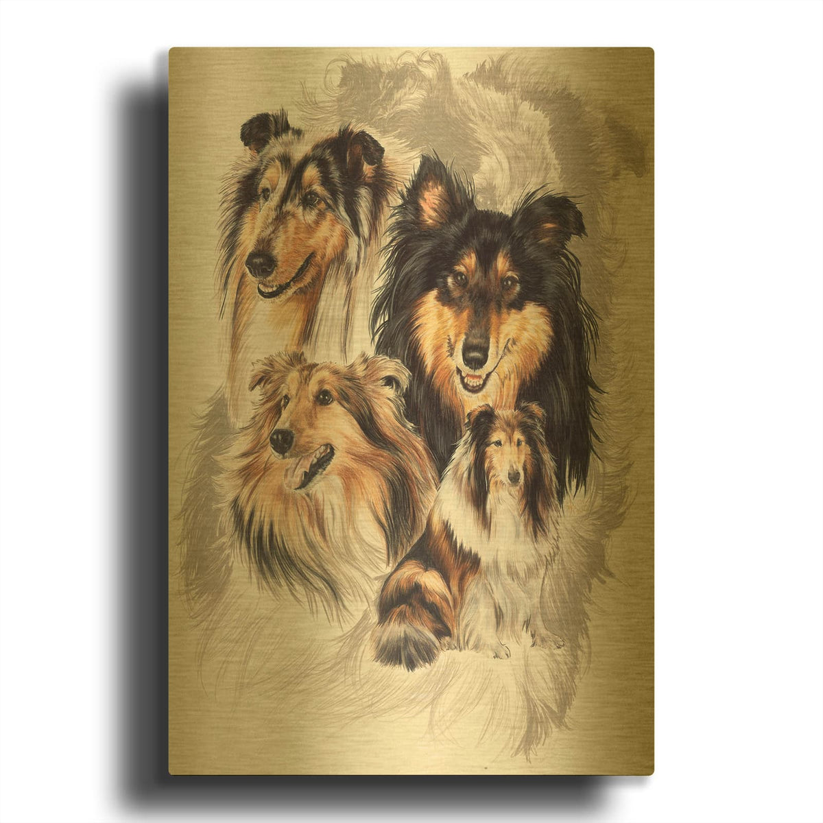 'Collie' By Barbara Keith Gold Metal Wall Art