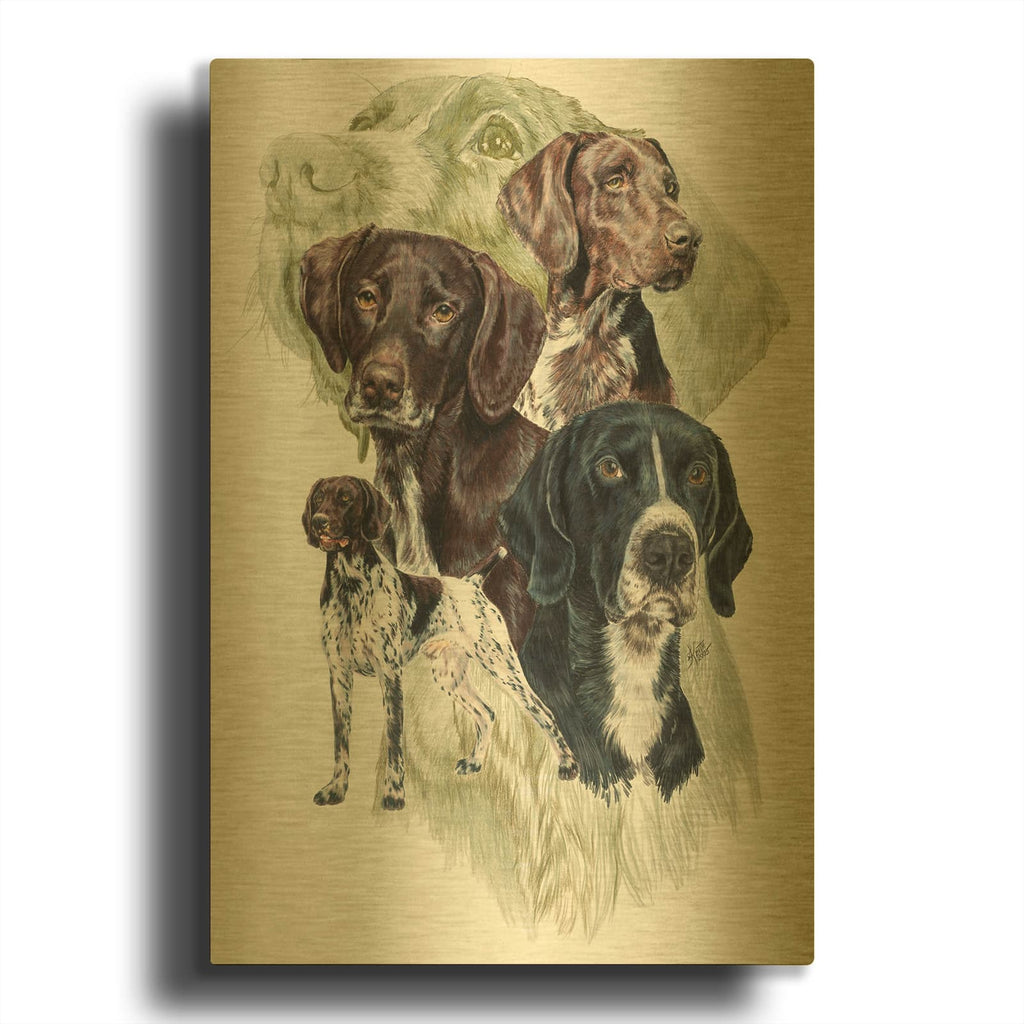 'German Short Haired Pointer' By Barbara Keith Gold Metal Wall Art