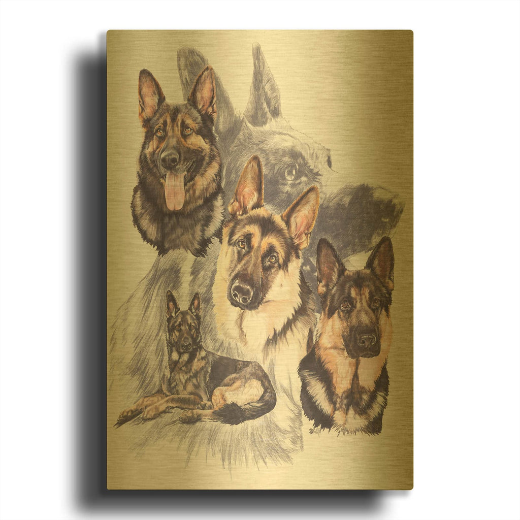 'German Shepard' By Barbara Keith Gold Metal Wall Art