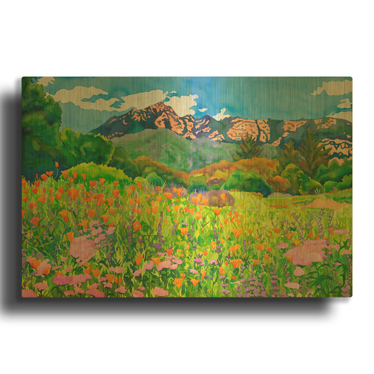 'Santa Barbara Botanic Garden' By Carissa Luminess Gold Metal Wall Art