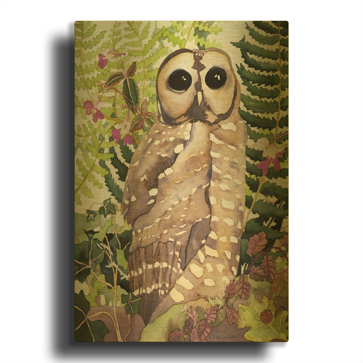 'Spotted Owl' By Carissa Luminess Gold Metal Wall Art