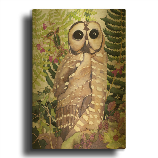 'Spotted Owl' By Carissa Luminess Gold Metal Wall Art