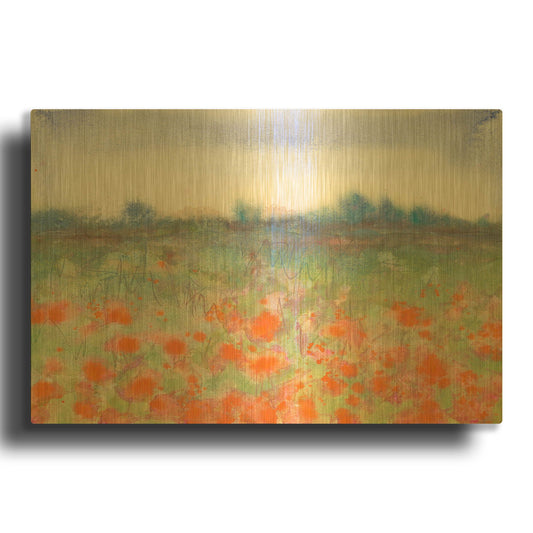 'Poppy Meadow' By Carissa Luminess Gold Metal Wall Art