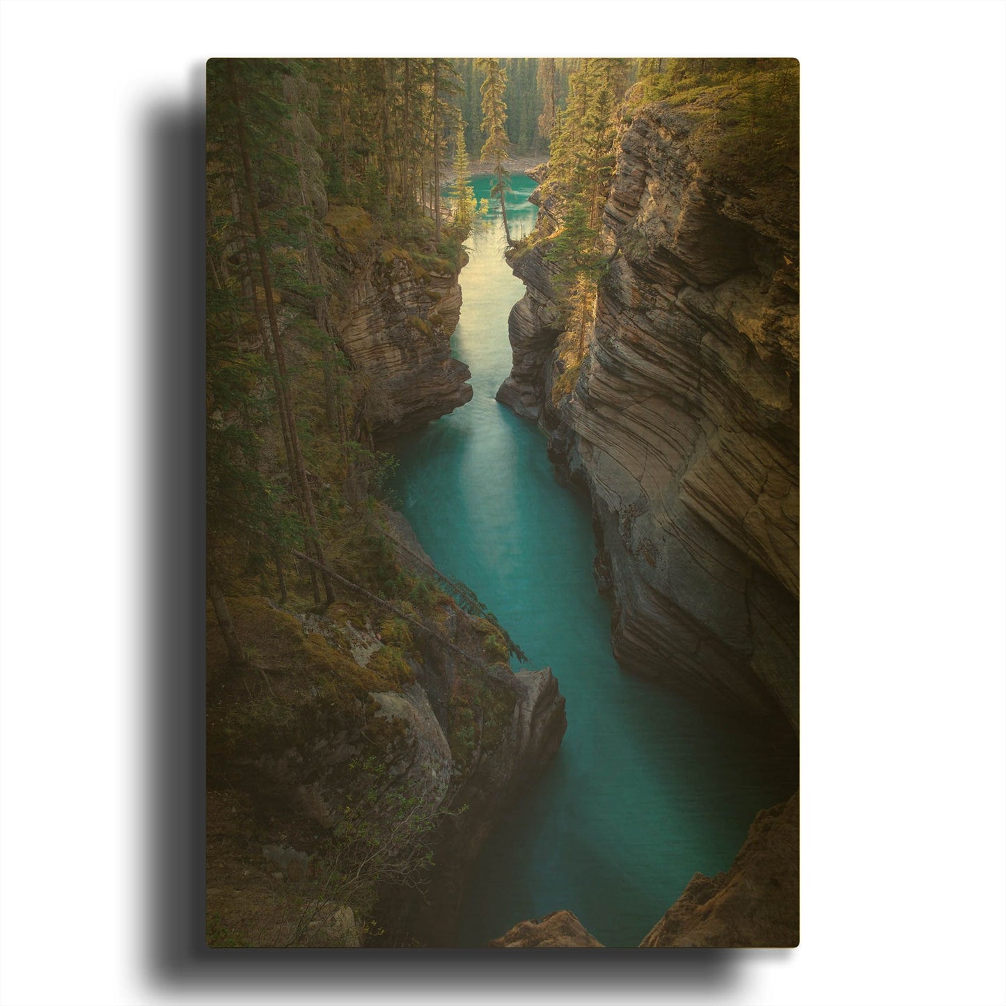 'Athabasca River 1' By Joe Reimer Photography Gold Metal Wall Art