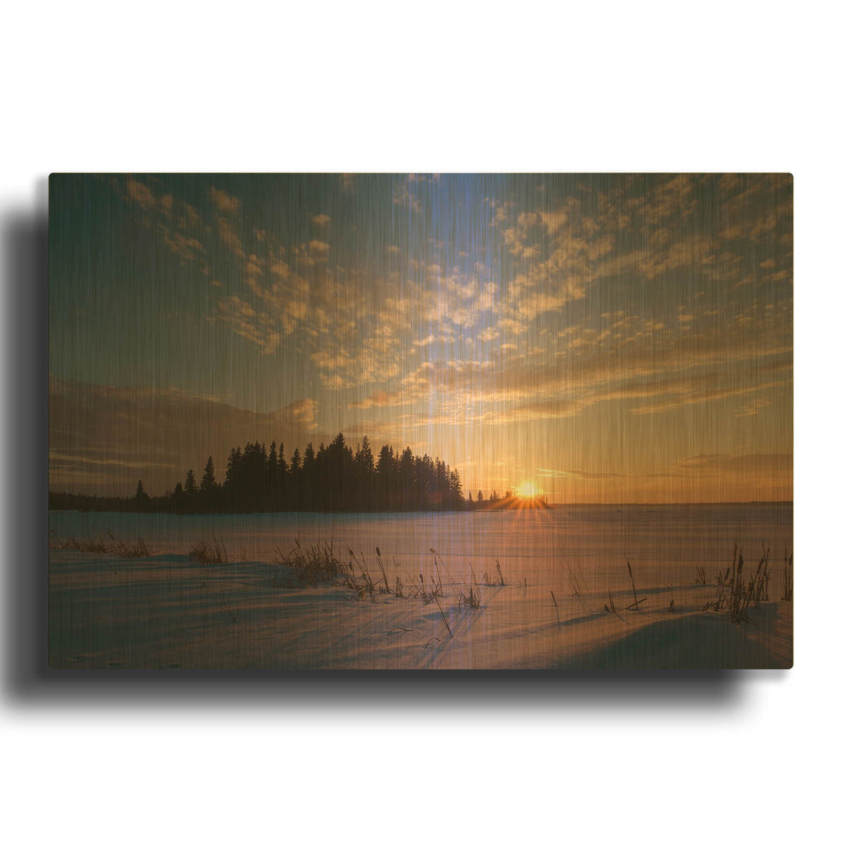 'Elk Island 3' By Joe Reimer Photography Gold Metal Wall Art