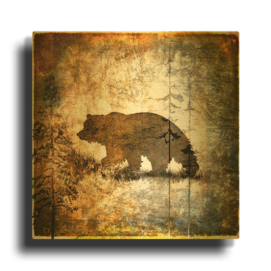 'High Country Bear' By Lightbox Journal Gold Metal Wall Art