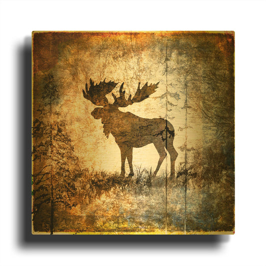 'High Country Moose' By Lightbox Journal Gold Metal Wall Art