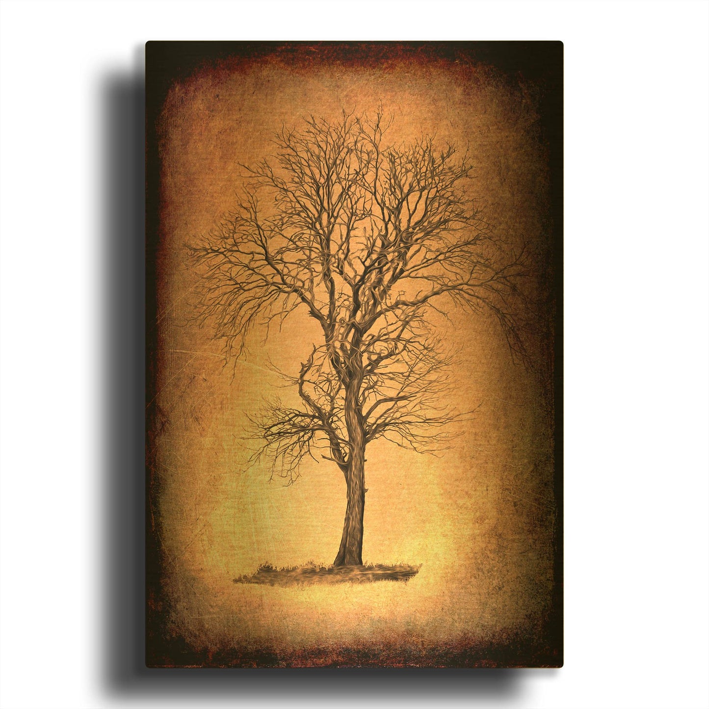 'For the Love of Trees II' By Lightbox Journal Gold Metal Wall Art