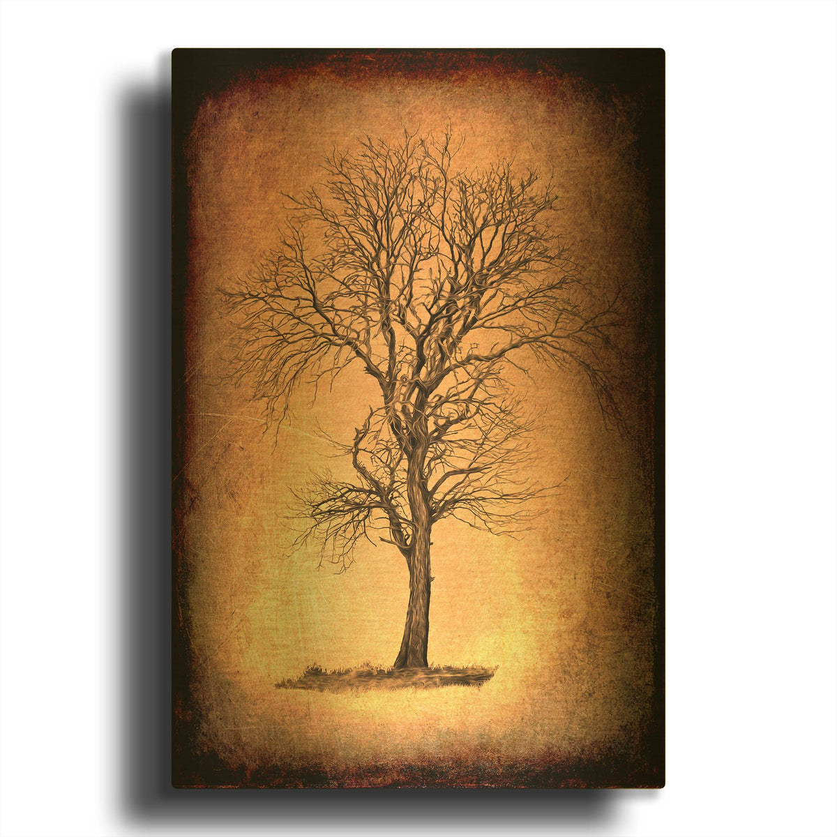 'For the Love of Trees II' By Lightbox Journal Gold Metal Wall Art