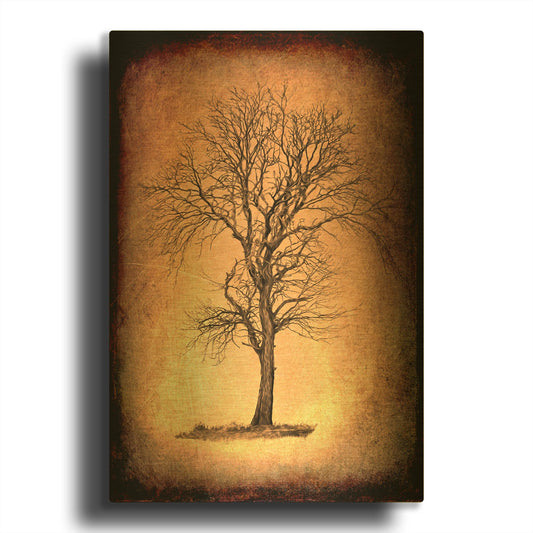 'For the Love of Trees II' By Lightbox Journal Gold Metal Wall Art