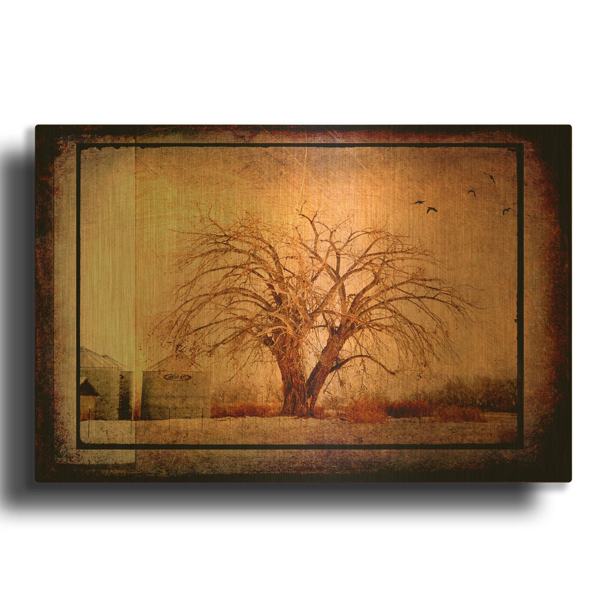 'For the Love of Trees IV' By Lightbox Journal Gold Metal Wall Art