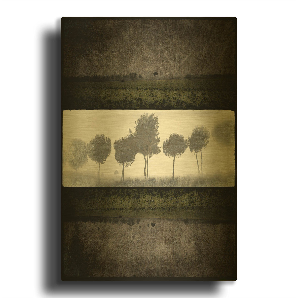 'Black Tree 2' By Lightbox Journal Gold Metal Wall Art