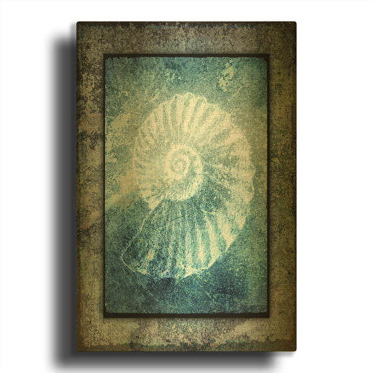 'Hello Beach Shell I' By Lightbox Journal Gold Metal Wall Art