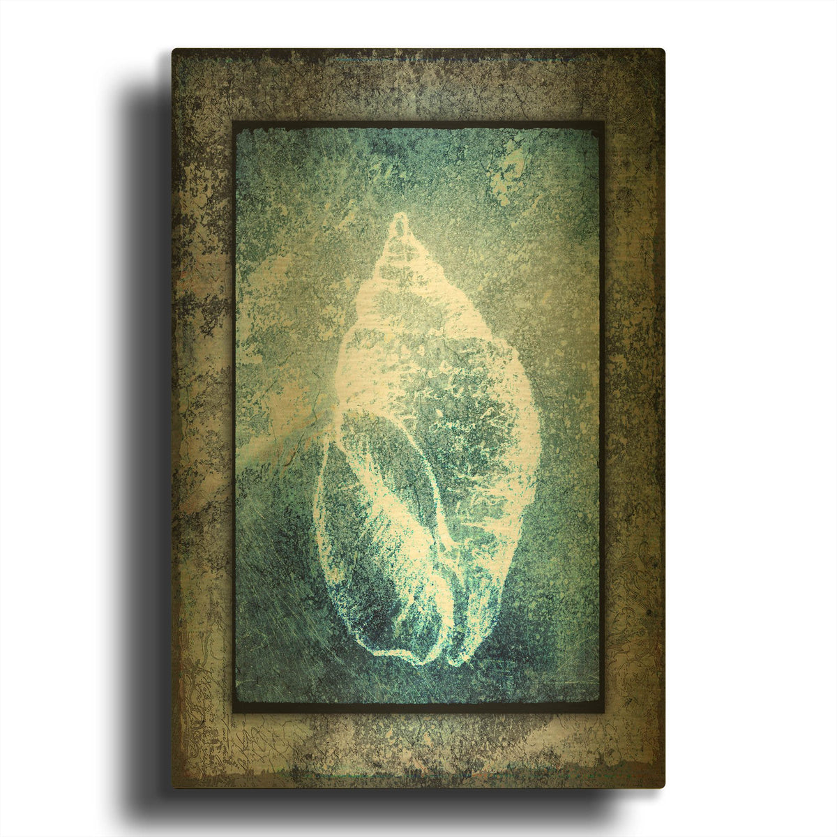 'Hello Beach Shell II' By Lightbox Journal Gold Metal Wall Art