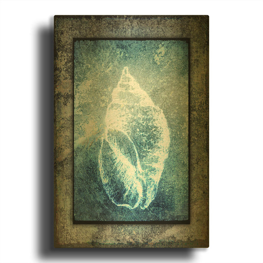 'Hello Beach Shell II' By Lightbox Journal Gold Metal Wall Art