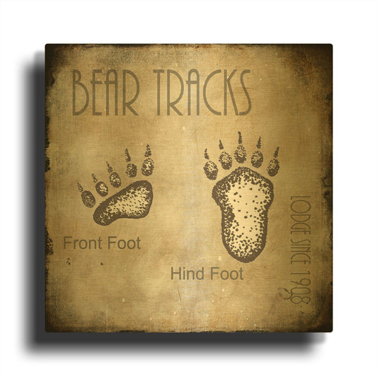 'Moose Lodge 2 - Bear Tracks 2' By Lightbox Journal Gold Metal Wall Art