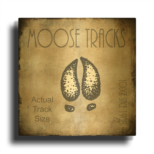 'Moose Lodge 2 - Moose Tracks 2' By Lightbox Journal Gold Metal Wall Art