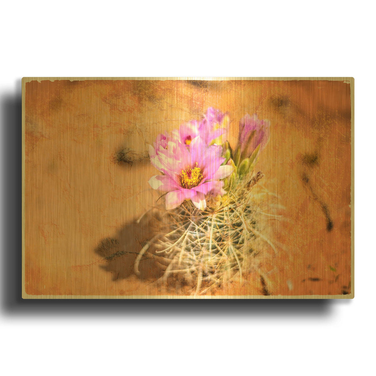 'Desert Flower 4' By Lightbox Journal Gold Metal Wall Art