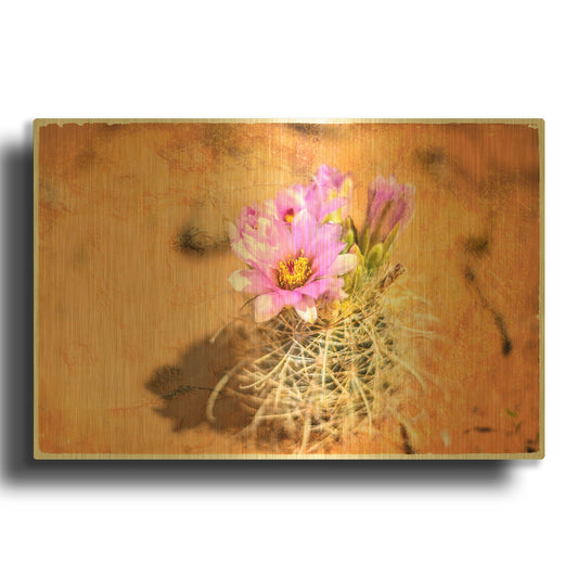 'Desert Flower 4' By Lightbox Journal Gold Metal Wall Art