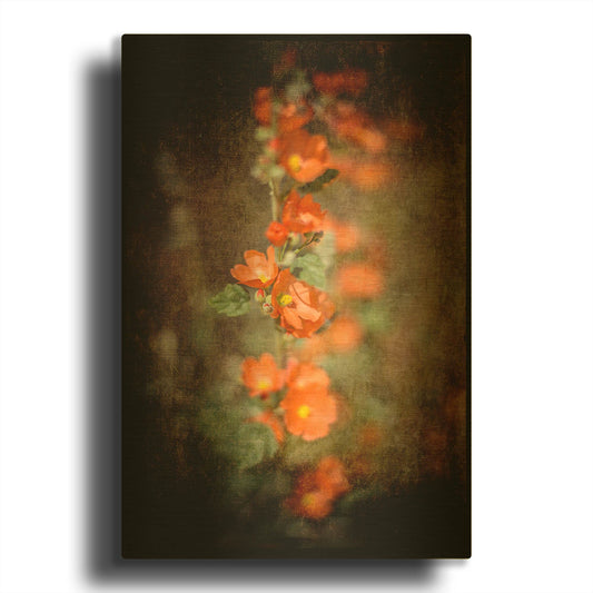 'Desert Flower 5' By Lightbox Journal Gold Metal Wall Art