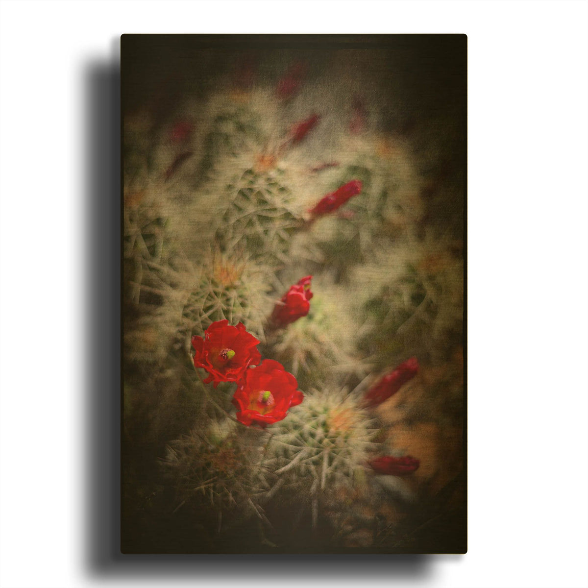 'Desert Flower 6' By Lightbox Journal Gold Metal Wall Art