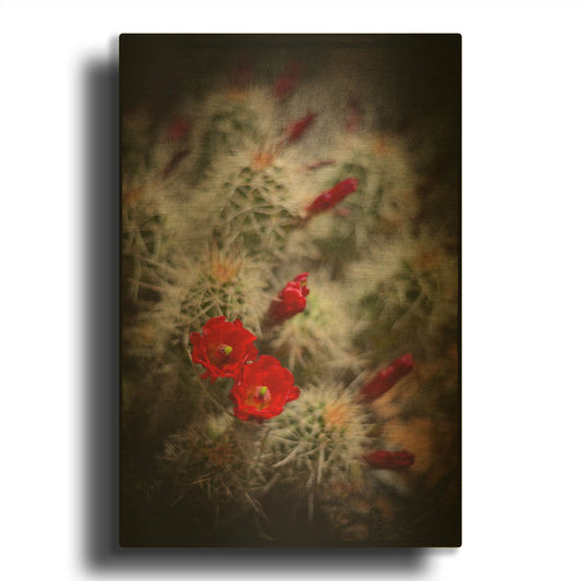 'Desert Flower 6' By Lightbox Journal Gold Metal Wall Art