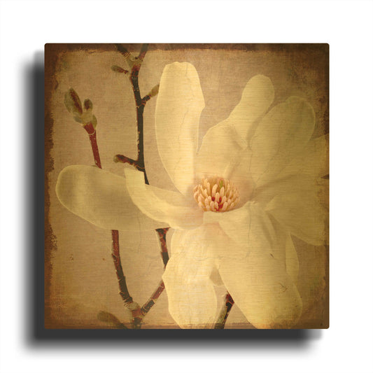 'Paper Magnolia Closeup' By Lightbox Journal Gold Metal Wall Art