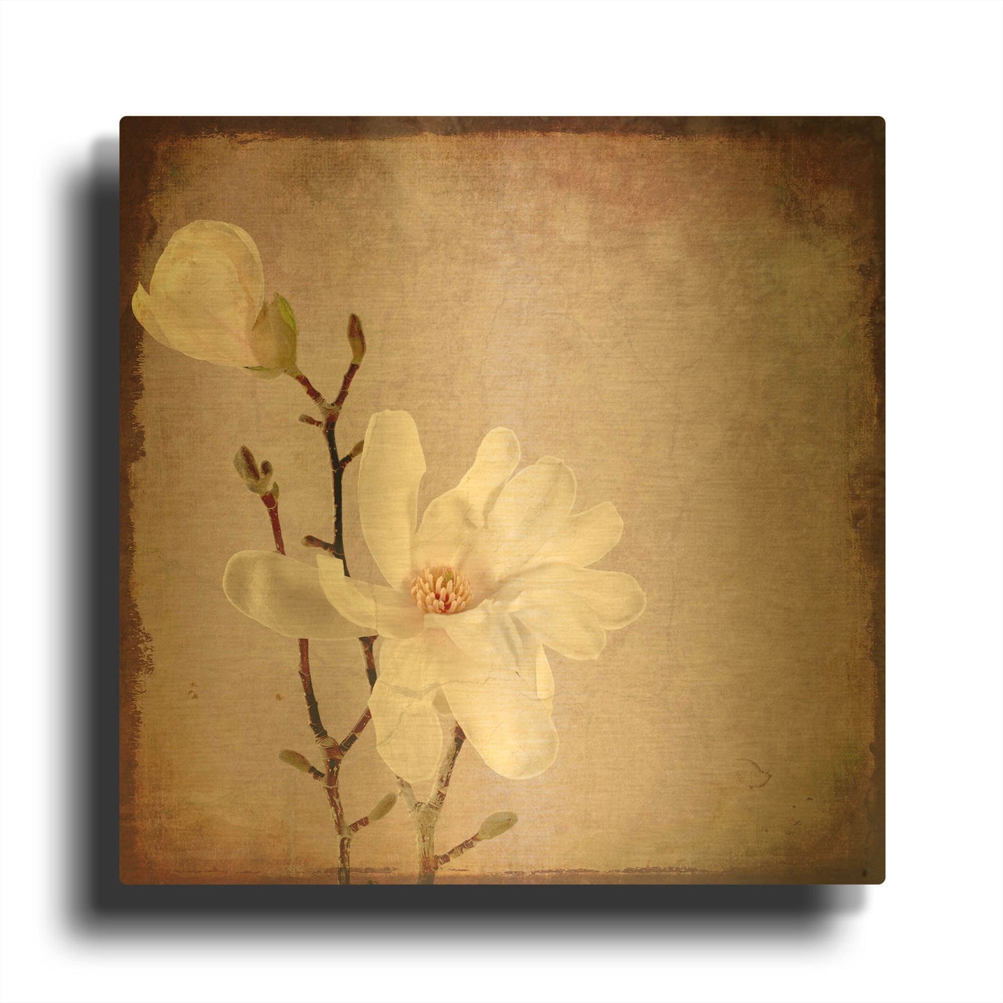 'Paper Magnolia Duo' By Lightbox Journal Gold Metal Wall Art