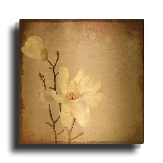'Paper Magnolia Duo' By Lightbox Journal Gold Metal Wall Art