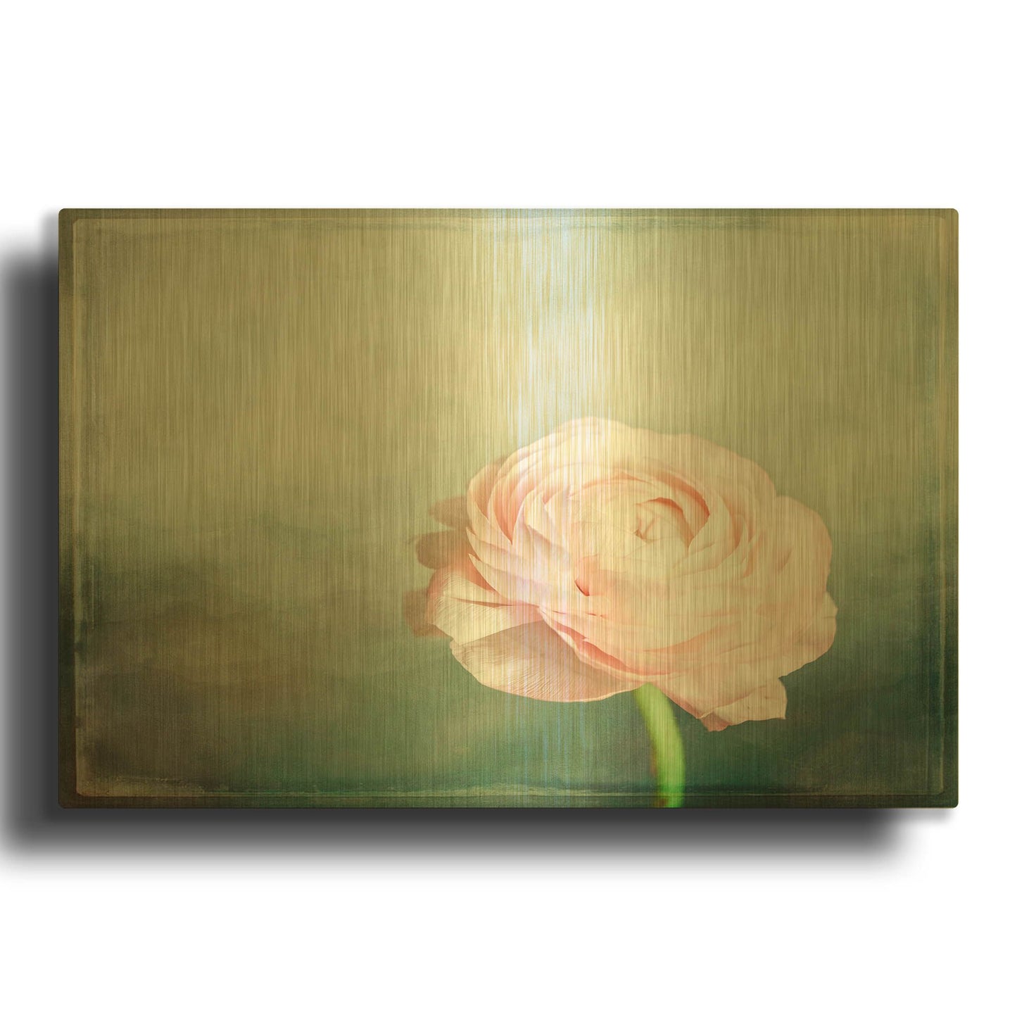 'Peony 03' By Lightbox Journal Gold Metal Wall Art