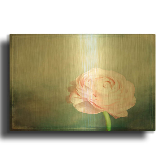 'Peony 03' By Lightbox Journal Gold Metal Wall Art