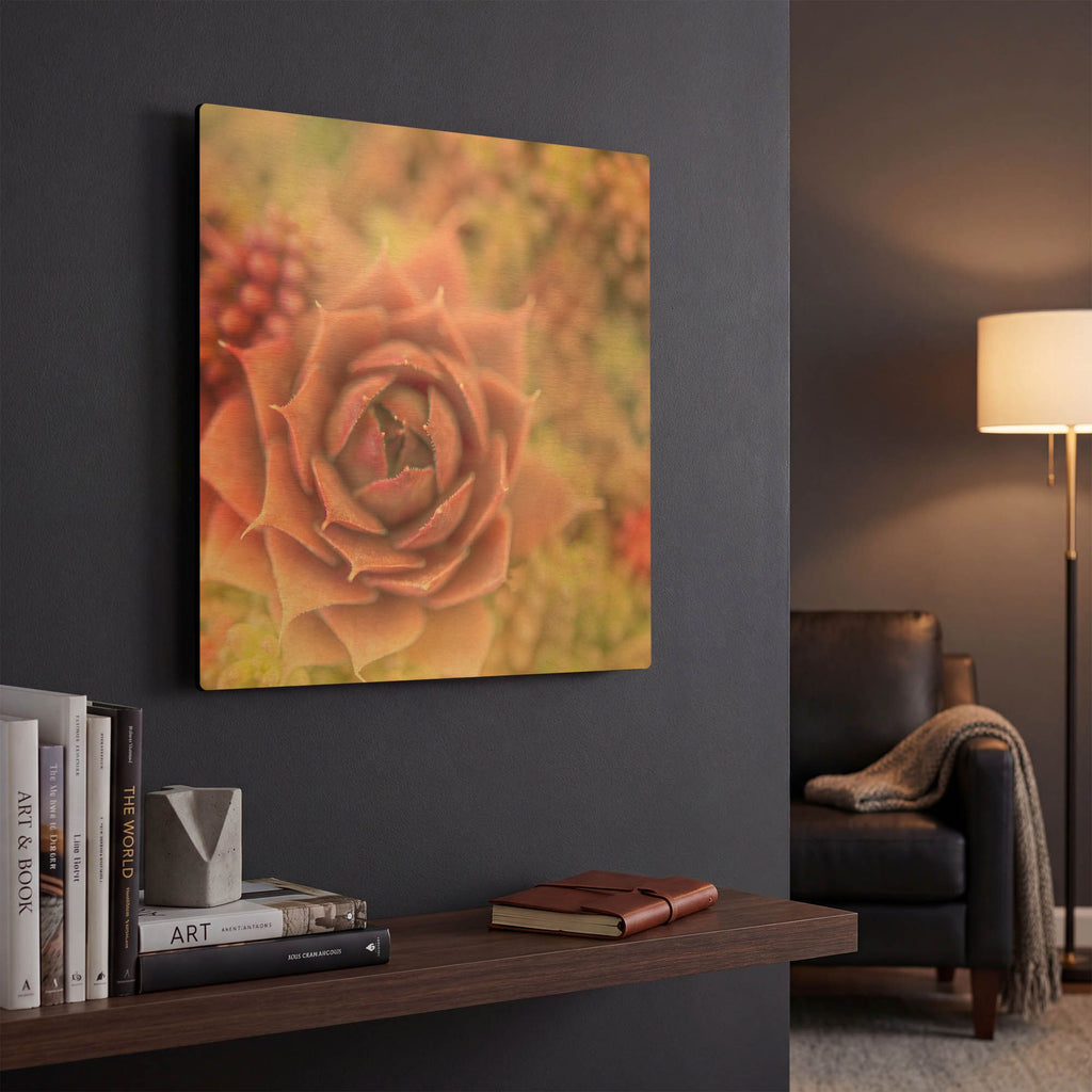 'Succulents 02' By Lightbox Journal Gold Metal Wall Art