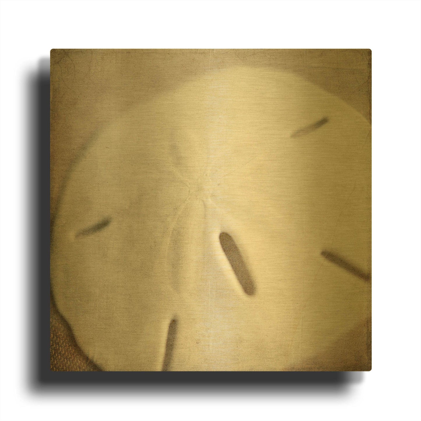 'Under the Sea 02' By Lightbox Journal Gold Metal Wall Art