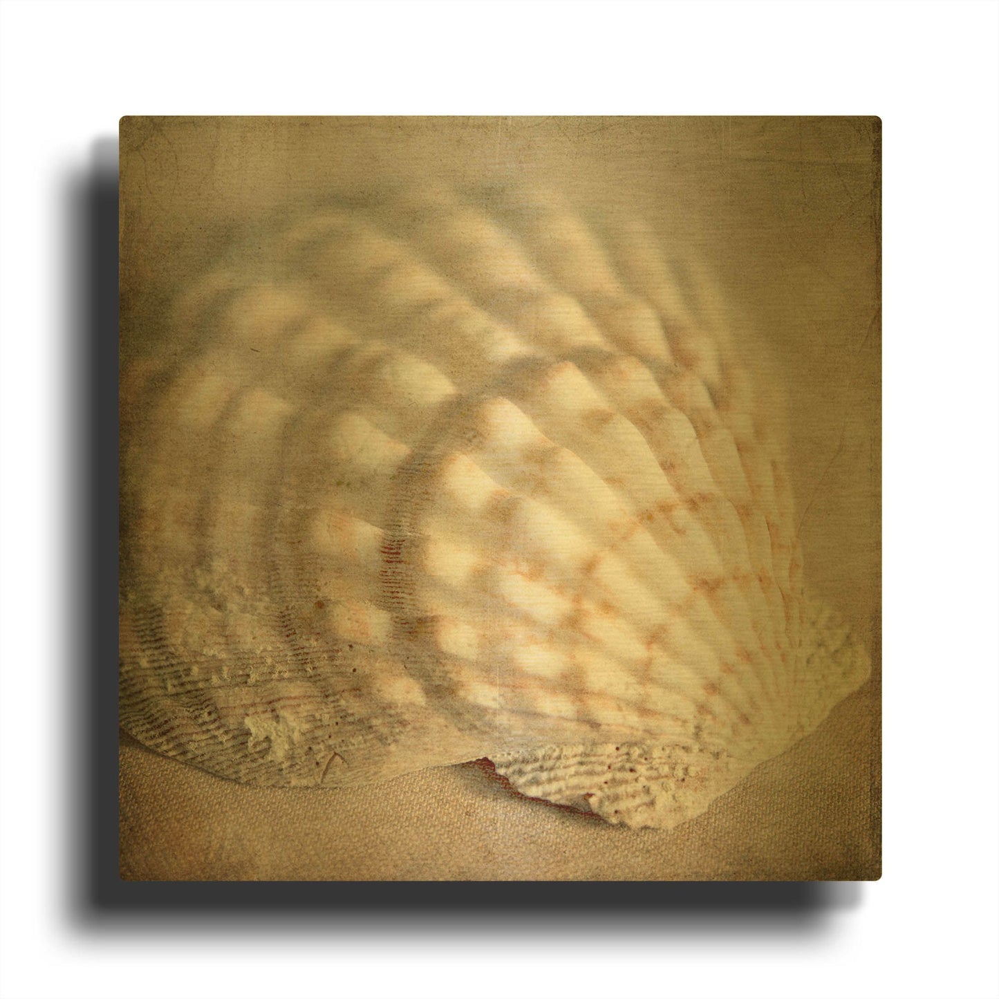 'Under the Sea 04' By Lightbox Journal Gold Metal Wall Art
