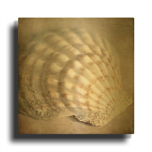 'Under the Sea 04' By Lightbox Journal Gold Metal Wall Art