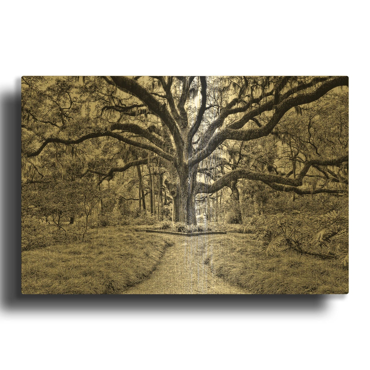 'Florida Tree' By PH Burchett Gold Metal Wall Art