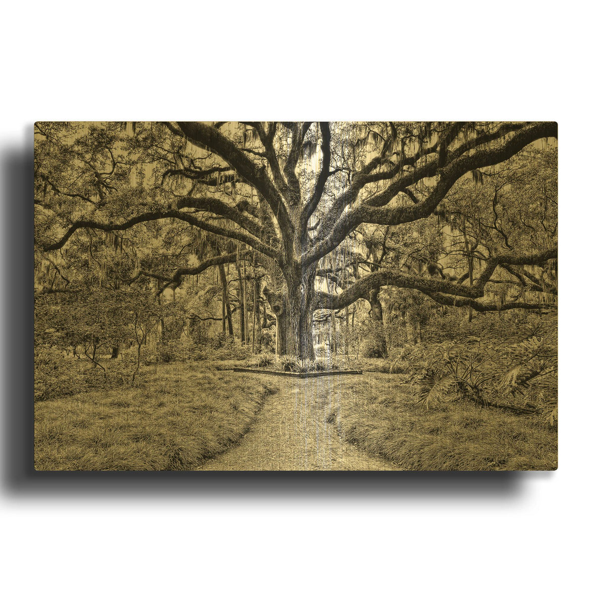 'Florida Tree' By PH Burchett Gold Metal Wall Art