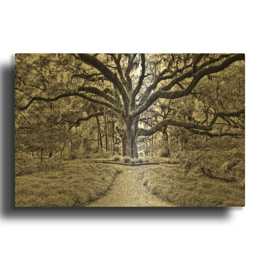 'Florida Tree' By PH Burchett Gold Metal Wall Art