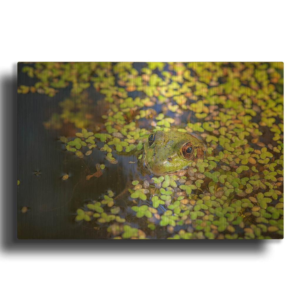 'Its Not Easy Being Green' By Rick Berk Gold Metal Wall Art