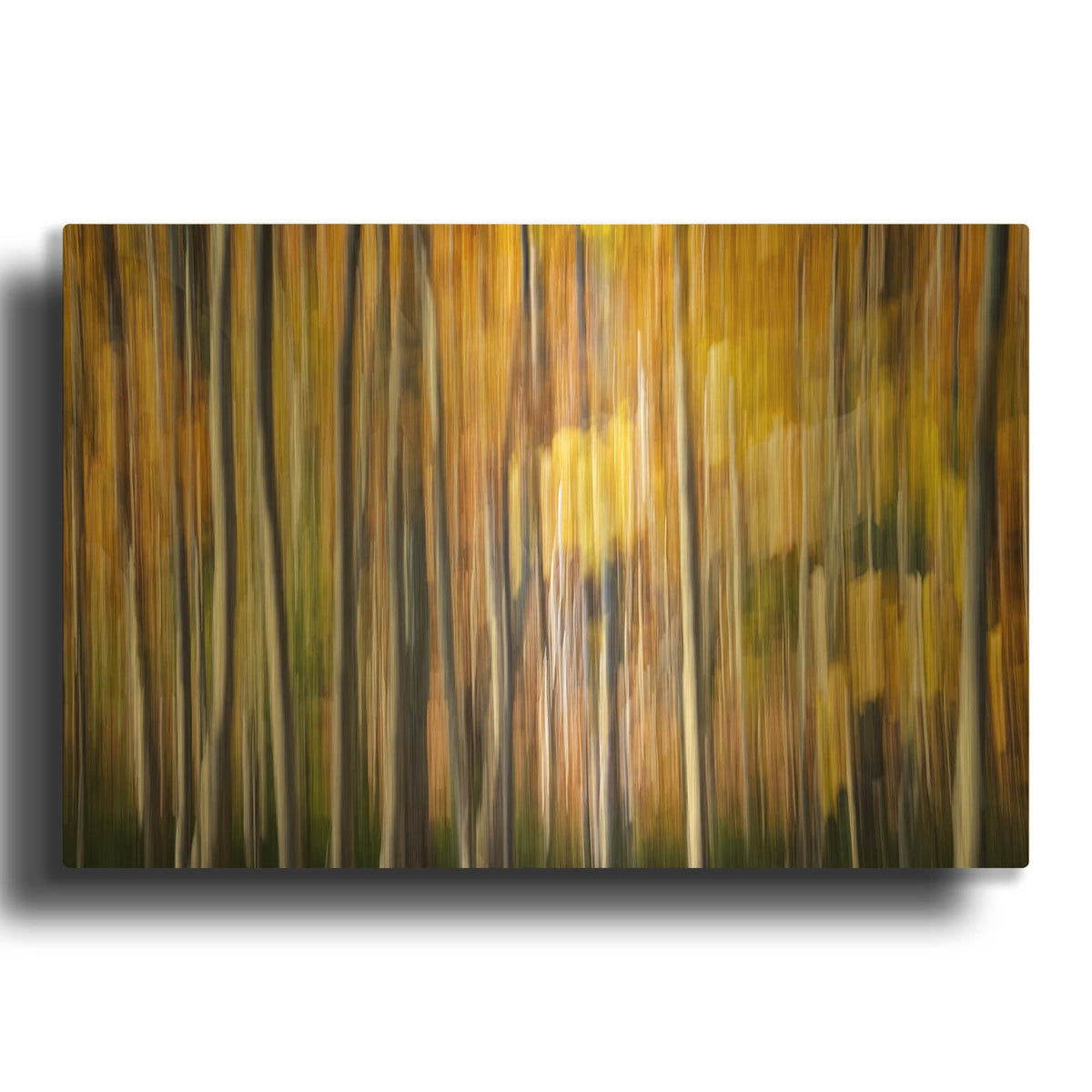 'Autumn Birches Abstract' By Rick Berk Gold Metal Wall Art