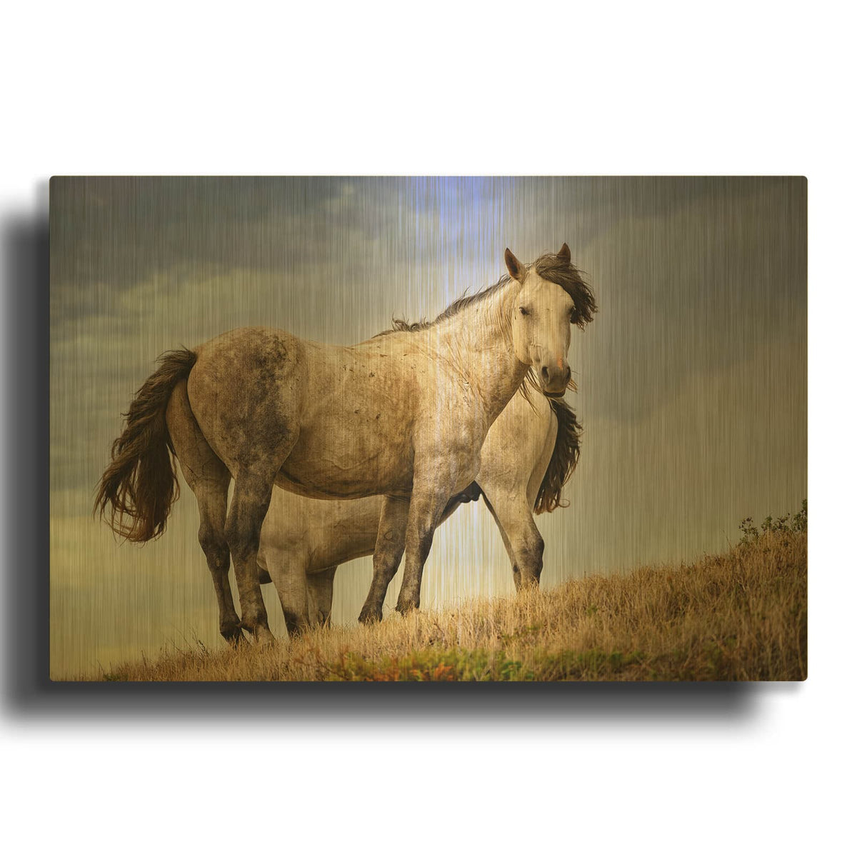 'Wild Horses' By Rick Berk Gold Metal Wall Art