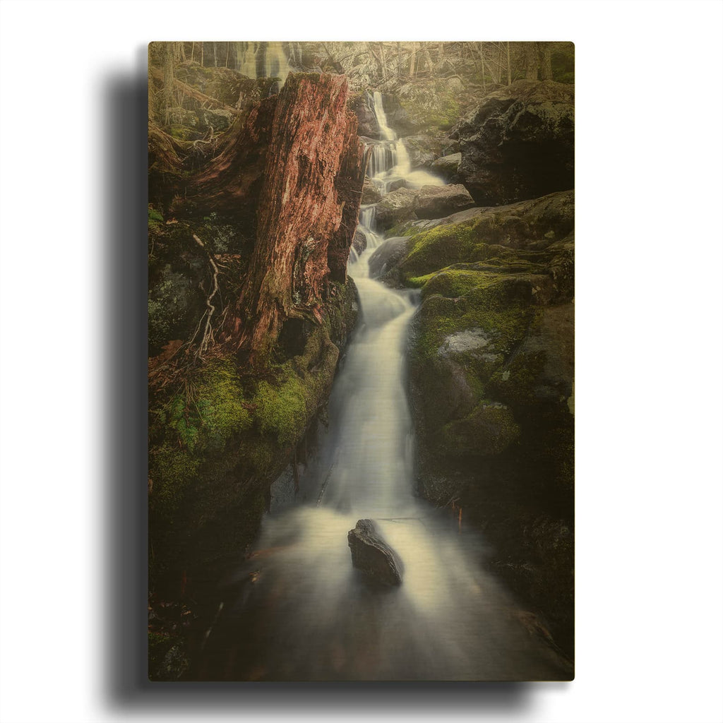'In The Hollow' By Rick Berk Gold Metal Wall Art