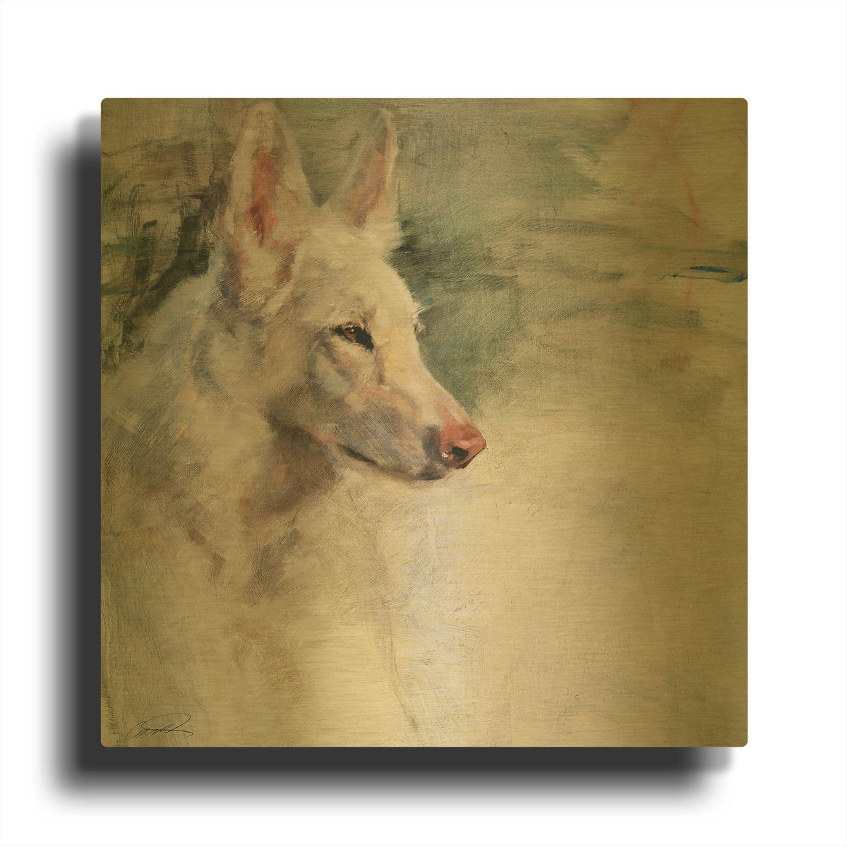 'White Shepherd Wonder' By Robert Campbell Gold Metal Wall Art